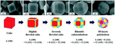 Graphical abstract: Evolution of the morphology of Cu2O microcrystals: cube to 50-facet polyhedron through beveled cube and rhombicuboctahedron