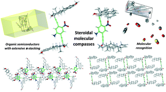 Graphical abstract: Synthesis of steroidal molecular compasses: exploration of the controlled assembly of solid organic materials