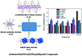 Graphical abstract: Synthesis and characterization of polyoxometalate-based silver(i) phenylethynide compounds with antibacterial and antifungal activities