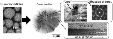 Graphical abstract: Cross-sectional analysis of the core of silicon microparticles formed via zinc reduction of SiCl4