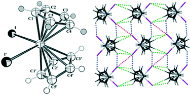 Graphical abstract: The role of halogen interactions in the crystal structure of biscyclopentadienyl dihalides