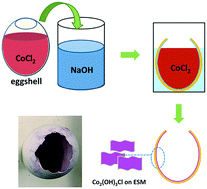Graphical abstract: A new approach to facilely synthesize crystalline Co2(OH)3Cl microstructures in an eggshell reactor system