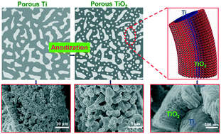 Graphical abstract: 3D hierarchical macro/mesoporous TiO2 with nanoporous or nanotubular structures and their core/shell composites achieved by anodization