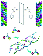 Graphical abstract: Homochiral porous coordination polymers with a rare utk topology and two types of uniform channels for enantioseparation