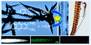 Graphical abstract: In situ bubble template-assisted synthesis of phosphonate-functionalized Rh nanodendrites and their catalytic application