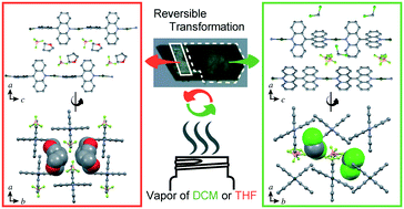 Graphical abstract: Synthesis and solvent vapor-induced transformations of crystals of 1D coordination polymers assembled with continuous void space