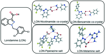 Graphical abstract: Novel solid forms of lonidamine: crystal structures and physicochemical properties