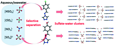 Graphical abstract: Selective separation of aqueous sulphate anions via crystallization of sulphate–water clusters