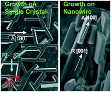 Graphical abstract: Hetero-epitaxial growth control of single-crystalline anatase TiO2 nanosheets predominantly exposing the {001} facet on oriented crystalline substrates
