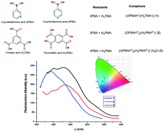 Graphical abstract: Supramolecular networks in molecular complexes of pyridine boronic acids and polycarboxylic acids: synthesis, structural characterization and fluorescence properties