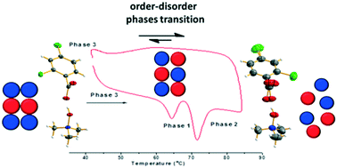 Graphical abstract: Order–disorder phase transition induced by proton transfer in a co-crystal of 2,4-dichlorobenzoic acid and trimethylamine N-oxide