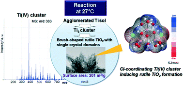 Graphical abstract: Structure identification of Ti(iv) clusters in low-temperature TiO2 crystallization: creating high-surface area brush-shaped rutile TiO2