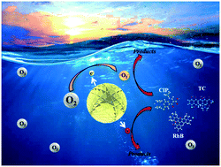Graphical abstract: Controllable synthesis of perovskite-like PbBiO2Cl hollow microspheres with enhanced photocatalytic activity for antibiotic removal