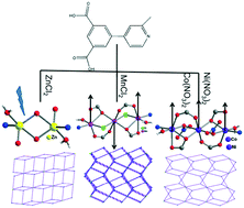 Graphical abstract: Four coordination polymers based on dinuclear and trinuclear units with a new multifunctional pyridyl-dicarboxylate ligand: luminescence and magnetic properties