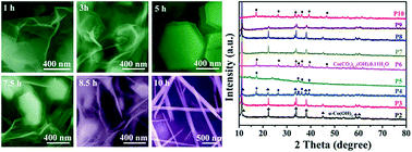 Graphical abstract: Phase and morphology evolution of ultrathin Co(OH)2 nanosheets towards supercapacitor application