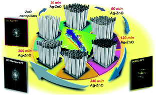 Graphical abstract: 3D hyperbranched heterostructures of Ag nanocrystals-decorated ZnO nanopillars: controlled growth and characterization of the optical properties