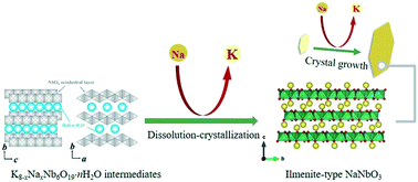 Graphical abstract: Revealing the hydrothermal crystallization mechanism of ilmenite-type sodium niobate microplates: the roles of potassium ions