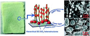 Graphical abstract: Synthesis of novel hierarchical SiC–SiO2 heterostructures via a catalyst free method