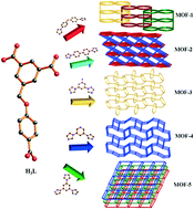 Graphical abstract: Syntheses, structural diversity, magnetic properties and dye absorption of various Co(ii) MOFs based on a semi-flexible 4-(3,5-dicarboxylatobenzyloxy)benzoic acid