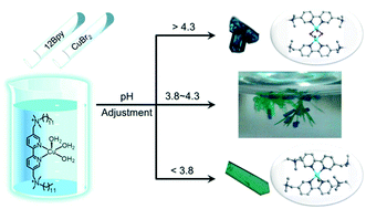 Graphical abstract: pH-controlled crystal growth of copper/gemini surfactant complexes with bipyridine groups