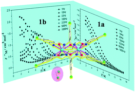 Graphical abstract: Solvent orientation in the crystal lattice producing distinct magnetic dynamics in two binuclear Dy(iii) polymorphs with a polydentate Schiff base ligand