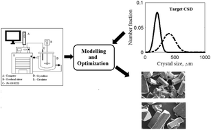 Graphical abstract: Particle engineering by optimization for the unseeded batch cooling crystallization of l-asparagine monohydrate