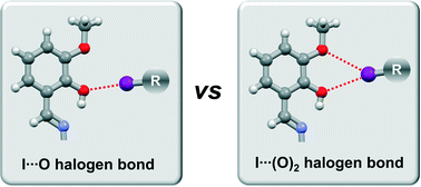 Graphical abstract: The halogen bonding proclivity of the ortho-methoxy–hydroxy group in cocrystals of o-vanillin imines and diiodotetrafluoro-benzenes