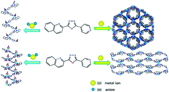 Graphical abstract: Self-assembly of new M(ii) coordination polymers based on asymmetric 1,3,4-oxadiazole-containing ligands: effect of counterions and magnetic properties