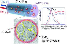 Graphical abstract: Oxyfluoride glass–ceramic fibers doped with Nd3+: structural and optical characterization