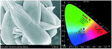 Graphical abstract: Facile microwave synthesis of ScPO4·2H2O flowerlike superstructures: morphology control, electronic structure and multicolor tunable luminescent properties