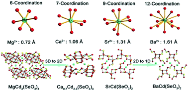 Graphical abstract: Alkali earth MOx (x = 6, 7, 9, 12) polyhedra tuned cadmium selenites with different dimensions and diverse SeO32− coordinations