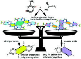 Graphical abstract: Synthon trends according to acid strength and geometry in salts of N-heterocyclic bases
