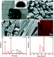 Graphical abstract: A stage-by-stage phase-induction and nucleation of black phosphorus from red phosphorus under low-pressure mineralization