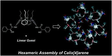 Graphical abstract: Hexameric assembly of 5,17-di-substituted calix[4]arene in the solid state