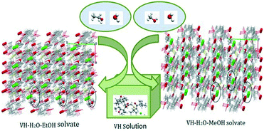 Graphical abstract: Crystal structures and phase transformation of two novel solvates of valnemulin hydrochloride