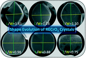 Graphical abstract: Shape tuneable synthesis of perovskite structured rare-earth chromites RECrO3via a mild hydrothermal method