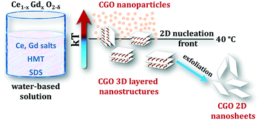 Graphical abstract: Nucleation front instability in two-dimensional (2D) nanosheet gadolinium-doped cerium oxide (CGO) formation