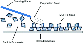 Graphical abstract: Oriented UiO-66 thin films through solution shearing