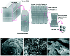 Graphical abstract: Hierarchical textures on aragonitic shells of the hyaline radial foraminifer Hoeglundina elegans