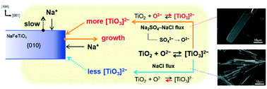 Graphical abstract: Growth of {100}-faceted NaFeTiO4 crystals with a tunable aspect ratio from a NaCl–Na2SO4 binary flux