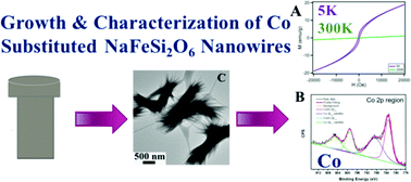 Graphical abstract: Synthesis, characterization, and growth mechanism of motifs of ultrathin cobalt-substituted NaFeSi2O6 nanowires