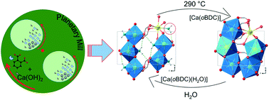 Graphical abstract: Hydrated and dehydrated Ca-coordination polymers based on benzene-dicarboxylates: mechanochemical synthesis, structure refinement, and spectroscopic characterization