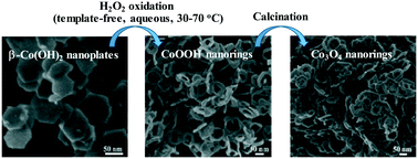 Graphical abstract: Template-free synthesis of Co3O4 nanorings and their catalytic application