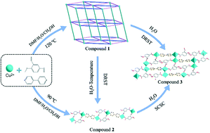 Graphical abstract: Single-crystal-to-single-crystal (SCSC) transformation and dissolution–recrystallization structural transformation (DRST) among three new copper(ii) coordination polymers