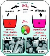 Graphical abstract: Controllable synthesis of nanostructured BaSO4 and BaSO3 crystals on the basis of DMSO oxidation chemistry