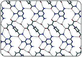 Graphical abstract: Formation of multi-component crystals with a series of pyridinium-carboxyacrylate zwitterions