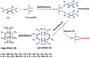 Graphical abstract: Solid state [2 + 2] photocycloaddition for constructing dimers of N,N′-diacyl-1,4-dihydropyrazines based on thiourea-induced assembly