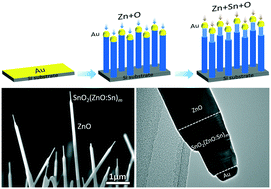 Graphical abstract: In situ growth of ZnO/SnO2(ZnO:Sn)m binary/superlattice heterojunction nanowire arrays