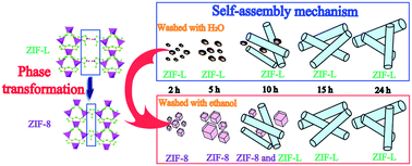 Graphical abstract: Formation mechanism of rod-like ZIF-L and fast phase transformation from ZIF-L to ZIF-8 with morphology changes controlled by polyvinylpyrrolidone and ethanol