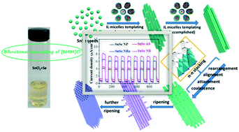 Graphical abstract: Ionic liquid bifunctionally modulated aggregation-coalescence mechanism to synthesize SnSe single-crystal nanorod/nanoparticle core shell nanostructures and single-crystal nanorods for optoelectronics